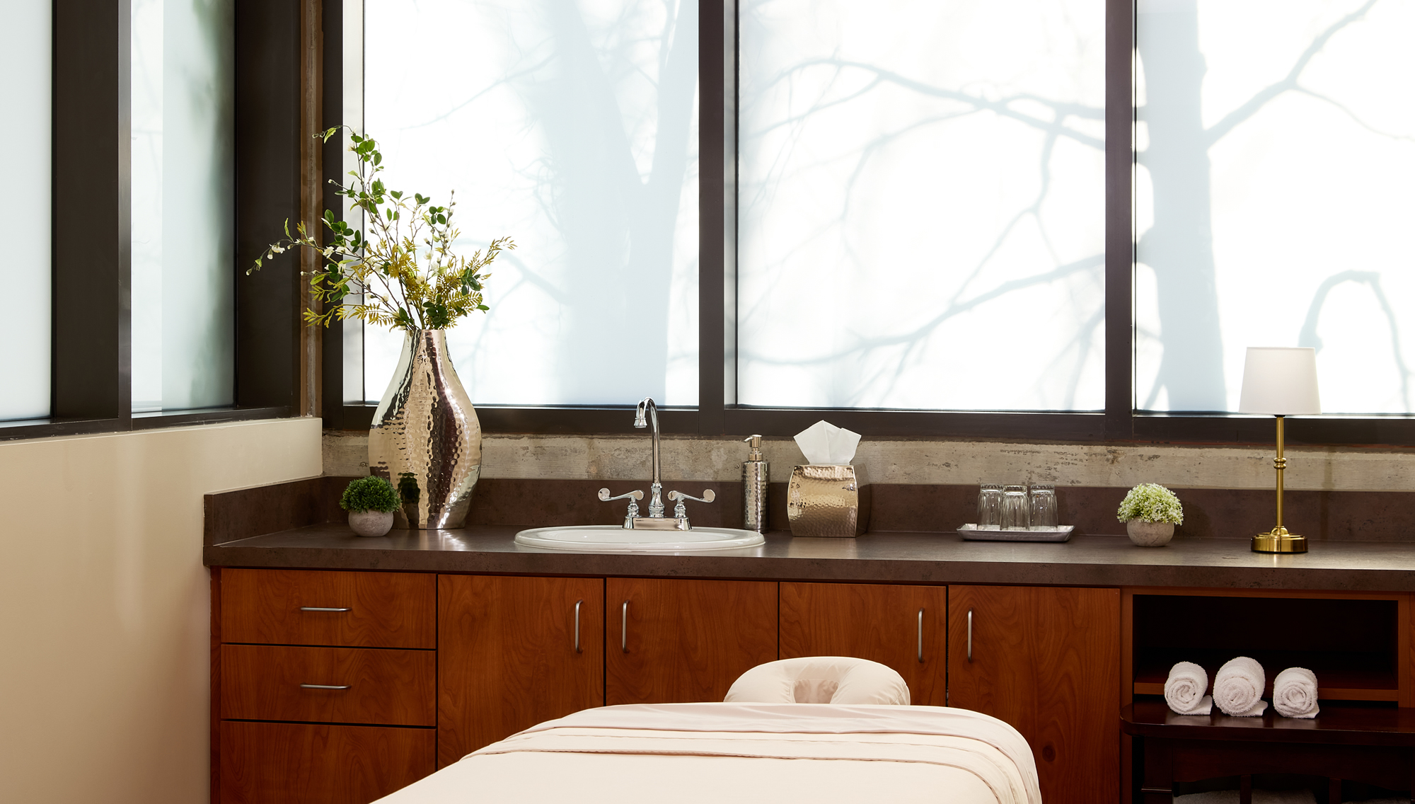 Treatments & Services