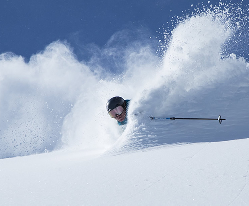 Alta & Snowbird Areas